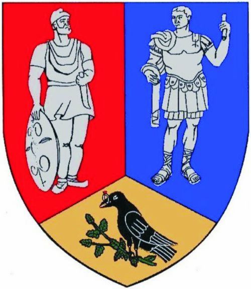 Hunedoara County Council
